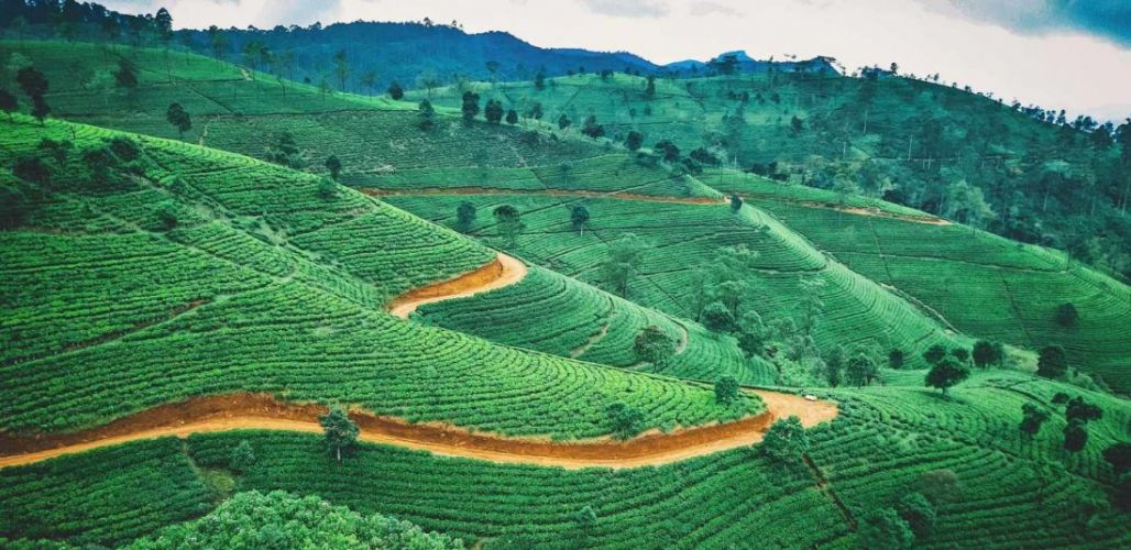 Шри Ланка - ноември 2025