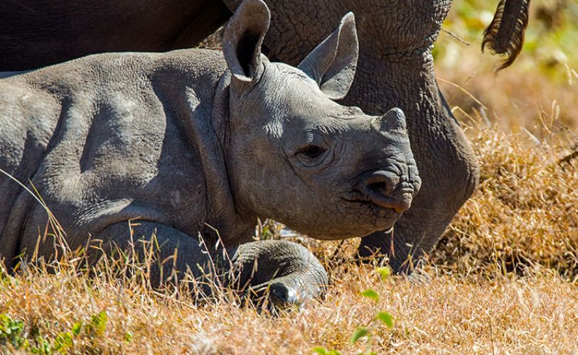 Кения - От двете страни на екватора