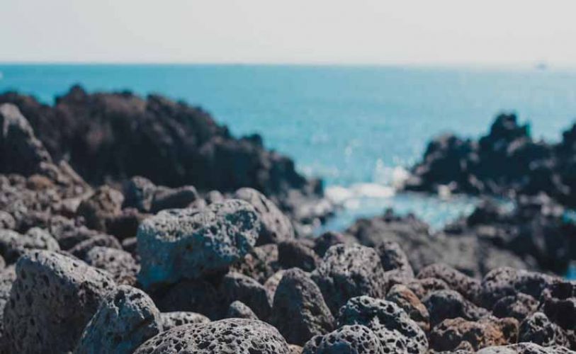 ЮЖНА КОРЕЯ на фокус